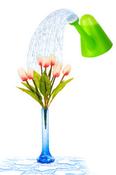 Similar image 606624