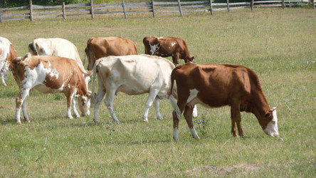 Similar image 606655