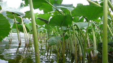 Similar image 606659