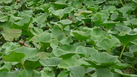 Similar image 606660