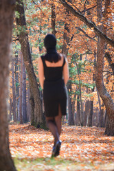 Similar image 606844