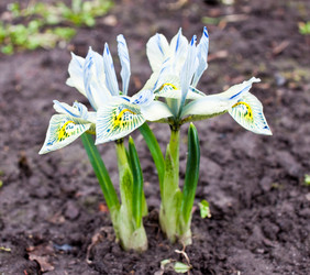 Similar image 606995