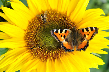 Similar image 607050