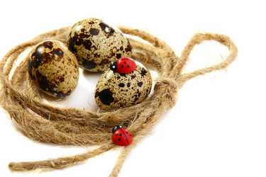 Similar image 607155