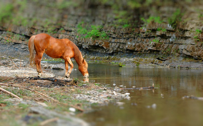 Similar image 607352