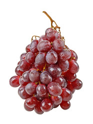 Similar image 607563