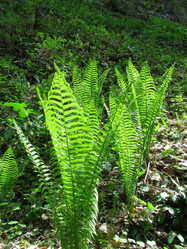 Similar image 607605