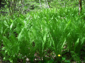 Similar image 607606