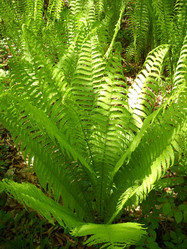 Similar image 607607