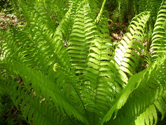 Similar image 607608