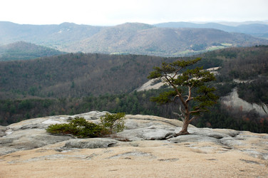 Similar image 607609