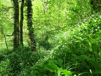 Similar image 607611