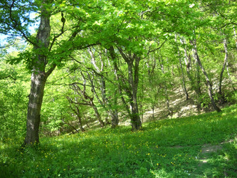 Similar image 607612