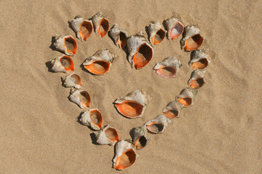 Similar image 607617