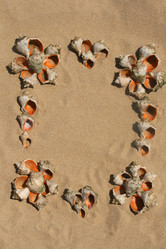 Similar image 607625