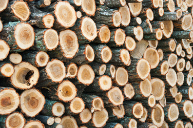 Similar image 607634