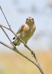 Similar image 607680