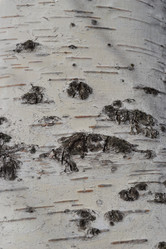 Similar image 607690