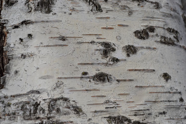 Similar image 607691