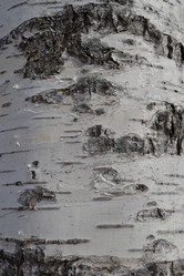 Similar image 607692