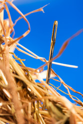 Similar image 607744