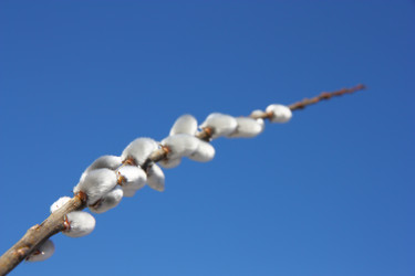 Similar image 607763