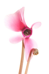 Similar image 607827