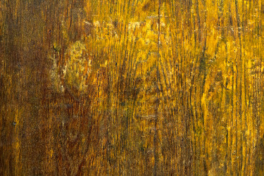 Similar image 607863