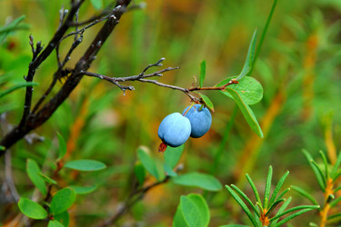 Similar image 607899