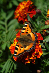 Similar image 607910