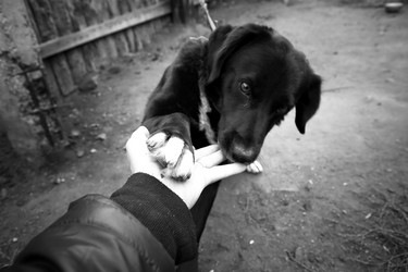 Similar image 607912