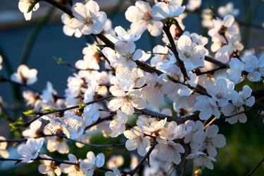 Similar image 607913