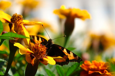 Similar image 607914