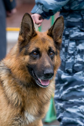 Similar image 607915