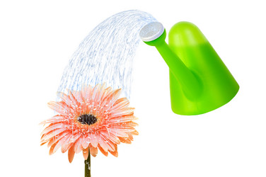 Similar image 607959