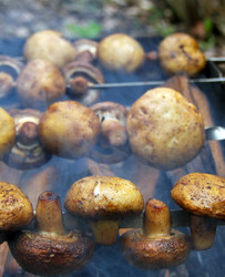 Similar image 608095