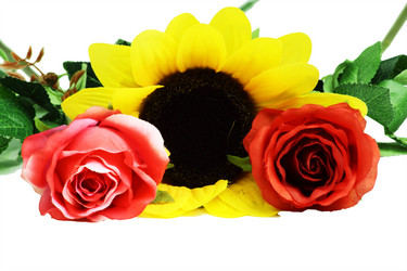 Similar image 608187