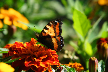 Similar image 608191