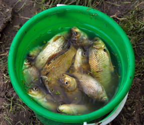 Similar image 608199