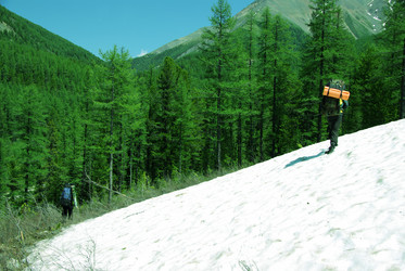 Similar image 608314