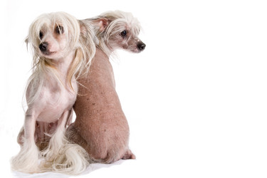 Similar image 608316