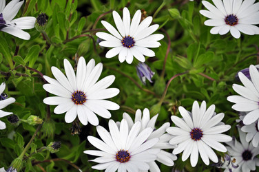 Similar image 608364