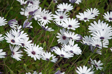 Similar image 608366