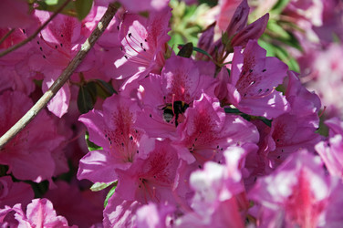 Similar image 608368