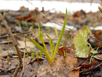 Similar image 608519