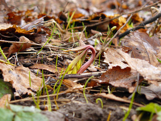 Similar image 608520