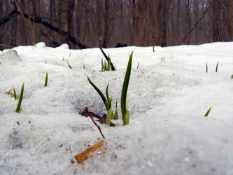 Similar image 608521