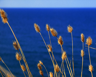 Similar image 608532