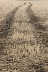 Similar image 608555