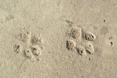 Similar image 608601